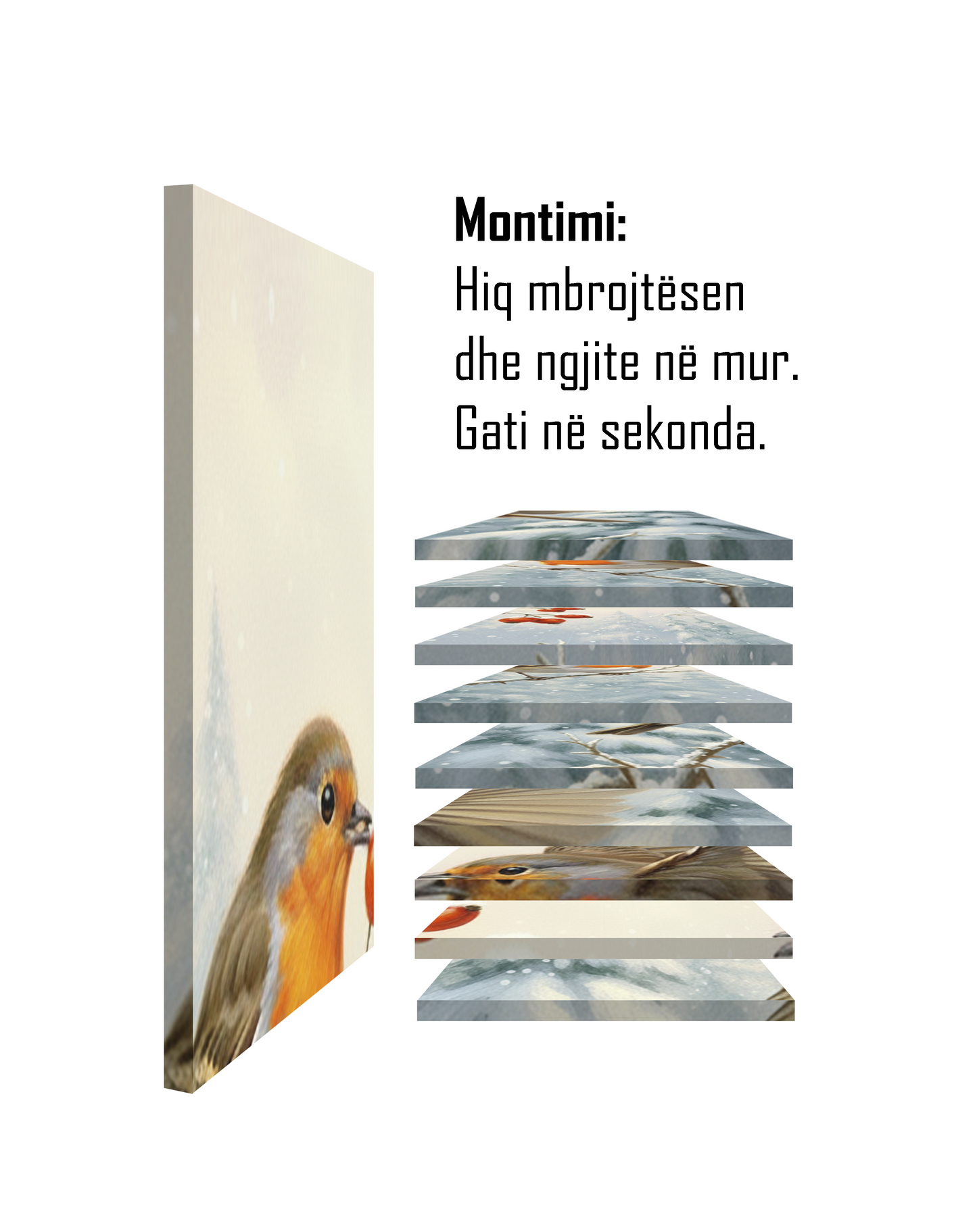 Zogjët në Dimër II