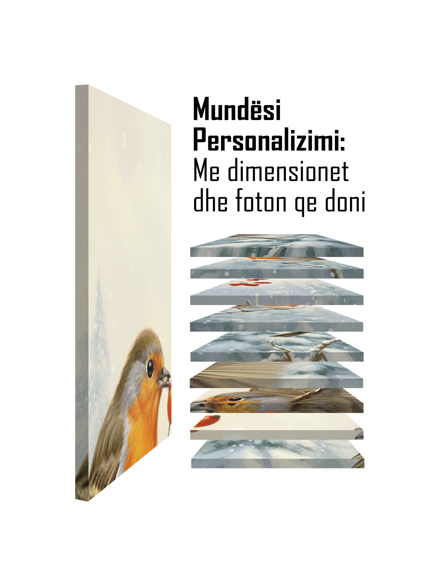 Zogjët në Dimër II