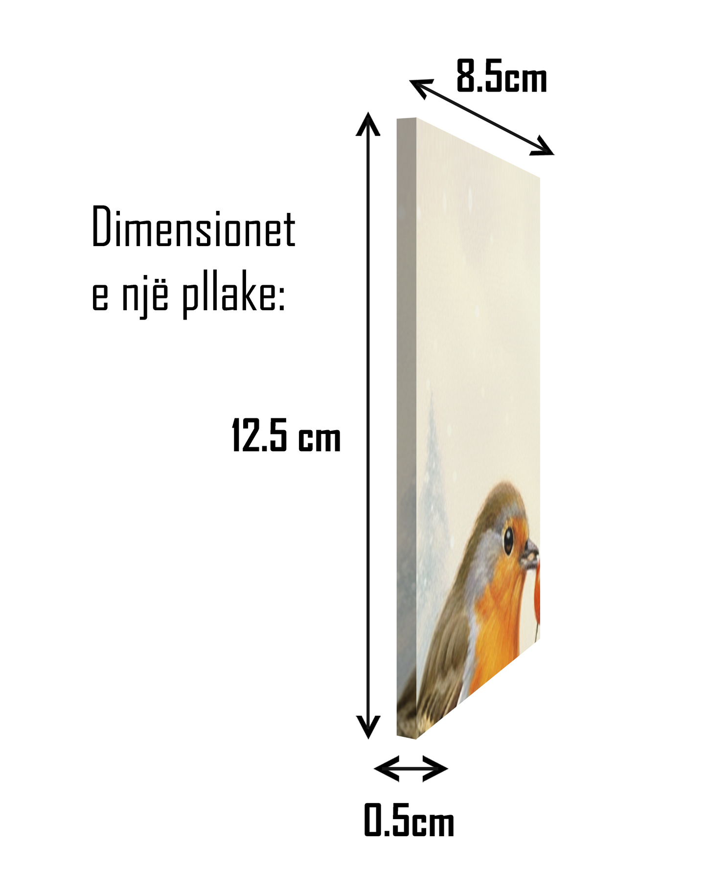 Zogjët në Dimër II