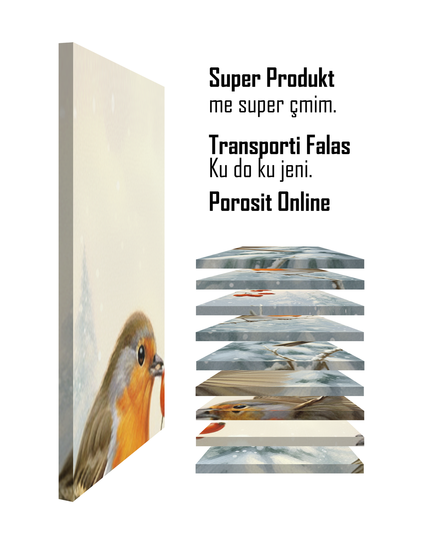 Zogjët në Dimër II